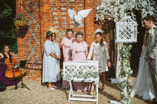 8 White Doves