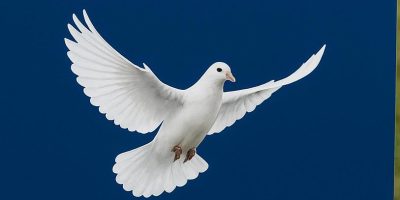 WhatsApp Image 2025-10-15 at 13.30.50_3020cb9c